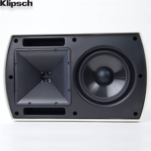 Loa Klipsch AW-650 8